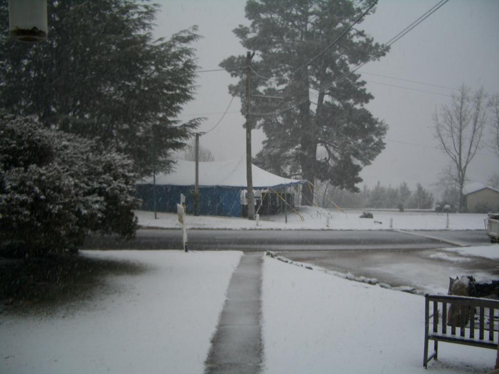 Rainbow Pines Tourist Caravan Park アダミナビー エクステリア 写真
